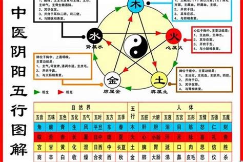 96年属鼠 五行|96年属什么的生肖什么命 96年属什么的生肖五行属什么